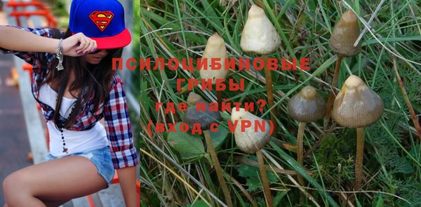 MDMA Premium VHQ Алзамай