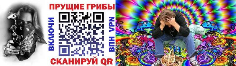 Псилоцибиновые грибы Cubensis  купить   Зарайск 